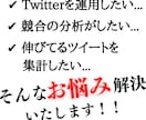 Twitterのデータ抽出いたします Twitterを運用・競合分析したい方必見！ イメージ2