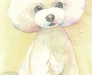 水彩で大切なペットの似顔絵を優しく描きます 写真には残せない、あたたかい雰囲気を水彩で描きます。 イメージ1