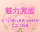 48時間のメソッド付き！魅力をマヤ暦で覚醒させます 【今だけ特別価格】「自分の魅力がわからない」その理由と解決法 イメージ1