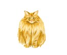 ペットのイラスト描きます 適度にデフォルメして厚塗り風に仕上げます イメージ1