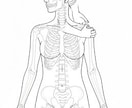医療・福祉イラストや図をモノクロ、カラーで描きます pdf,aiファイルでの納品で、直接ご利用出来ます。 イメージ1