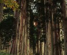 不運・不調の霊因を探り、最高潮の幸運状態に導きます 全てを見破る「唯一無二」の秘法。霊視の神髄であなたを救い出す イメージ6