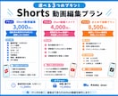 全SNS動画対応のShort動画を編集します 撮影素材を魅力的なShort動画へ！SNS運用にも◎ イメージ2