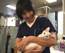 あなたのお悩み心を込めてお聴きします 心理カウンセラー、動物看護師 ２つの資格でサポートします イメージ2