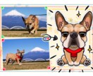 愛犬の似顔絵イラストをキャラクター仕立てで描きます もし愛犬がキャラクターになったら？を実現します！ イメージ3
