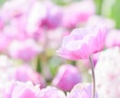 3ヵ月以内にあなたに起こる嬉しいことをお伝えします 写真付き♪より幸せになるためのアドバイス付き☆.。.:*・゜ イメージ1