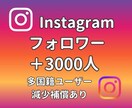 Instagram フォロワー3000人増やします ゆっくり増加対応可・高品質・多国籍フォロワー・減少保証あり イメージ1