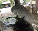 お仕事、キャリアのお悩み相談お聞きします キャリアカウンセラーキャリアのお悩みをお聞きし一緒に考えます イメージ1