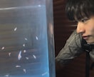 一人飲み・宅飲み・お相手します 一人は寂しい夜、酔った勢いでも！もちろん飲まない方でも！ イメージ1