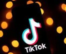 日本人限定TikTokフォロワー100人拡散します 超スピード対応で安心・安全にフォロワー数支援します！ イメージ4