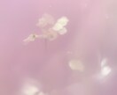ど〜んなことでもOK!あなたに1日寄り添います 1日気軽にお話してみませんか？親身になってお聞きします✿ イメージ2