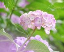 嬉しいこと!聞いて欲しい!お話し聞きます いい事があった!自慢話などお聞きします イメージ6
