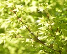 安心してお話しください。温かく寄り添い傾聴します 人間関係・仕事の疲れに。否定せず、優しくお話お聴きします。 イメージ3
