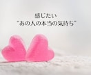 特別鑑定します 【ご注意ください】特別鑑定用となります イメージ1