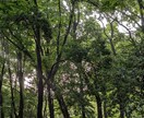手助けします 迷ったり悩んているならお気軽に！ イメージ1