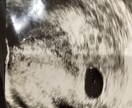 0歳の赤ちゃんに悩んでる方！大丈夫！仲間がいます 赤ちゃんと二人きりで孤独を感じてるなら話そう！ イメージ2