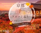 あなたの想いを届けるWEB画像を制作します 初めての利用〇　早期納品〇　バナー、ヘッダー、サムネイルなど イメージ1