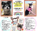 愛犬・愛猫記念日イラストお描きします うちの子記念日/お誕生日ほっこりイラスト イメージ5