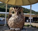 知り合いにも話せないお悩みごと、お聞きいたします 誰かに話せば少しは楽になりますよ イメージ1