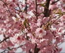 詐欺被害を受けた私が、優しく貴方に寄り添います 秘密厳守✨愚痴/悩み/話し相手/恋愛/職場/人間関係 イメージ6