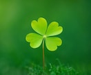 公認心理師が✉️チャットで2日✉️心の相談受けます ☘️気分不調|人間関係|恋愛|家族|お仕事|その他色々☘️ イメージ6