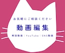 歴史シナリオ実績あり！リサーチから動画制作します 専門ライターが動画編集まで行います イメージ1