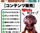 ご購入者様だけに、こっそり50%オフでご提供します SNSを活用した集客、販売スケジュールの組み方まで完全網羅！ イメージ1