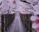 初回｜複雑恋。あの人の本心とご縁の行方を鑑定します 否定しません。誰にも言えない事情、すべて預けてください。 イメージ6