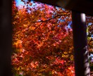 初心者が風景・街 写真素材提供します 低価格でオリジナルと調整済の写真素材を提供！ イメージ3