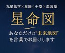 2025年運勢鑑定=未来星命図お届けします！ます 【2025年の運気と開運法を星命図に作成いたします！】 イメージ1