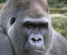恋愛で困ってる方や、相手の気持ち理解したいなどの相談人間関係のコツを教えます！(^｡^) イメージ1