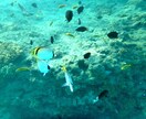 写真素材提供します 写真素材提供します。他にも多数場所あります。 イメージ10