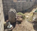 時給3万円超！週末庭師ノウハウの実践相談に乗ります 月手取り40万・時給3万超！週末庭師の超効率化アドバイス イメージ5