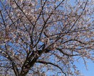 人生の"主人公"であるあなたのお話何でも聞きます 〜アドバイスなんていらない！ただ話を聞いて欲しい！あなたへ〜 イメージ6
