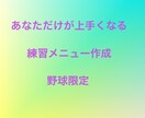 元プロ野球選手があなただけの練習メニューを作ります あなたの技術、身体、目標に合う練習メニューを作ります イメージ1