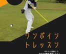 スイング動画でどこをどのように直せばいいか教えます 気軽にレッスン受けてみたい方へ！ イメージ1