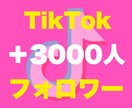 Tiktokフォロワー3000人増やします 評価貯まるまで最安★フォロワー確実に増加させます！ イメージ5