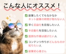 売れるコンテンツをあなたに代わって作成します あなたは何もしなくてもOK！面倒な商品作りは丸投げ作成代行！ イメージ9