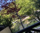 就職や転職、お仕事の悩みを解決します 生活する上で必要な仕事に関してのお悩みにフォーカスしました イメージ1