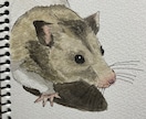 あなたの可愛いペットの似顔絵イラストを作成します 世界に一つだけの可愛い我が子のイラストをどうぞ イメージ3