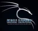 Kali Linuxのインストール方法教えます VirtualBoxやUSBブートデバイスのインストール イメージ1