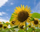 この離婚は試練？魂の成長と未来を占います 離婚経験者が、この離婚の本当の意味を魂の視点で読み解きます。 イメージ3