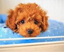 専門学生が1週間あなたとお話します 頑張るあなたの息抜きの場所に( *´꒳`*) イメージ6