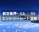 航空業界（CA）（GS）内定！ES添削します このチャンスを逃さない！国内大手エアライン内定実績あり イメージ1