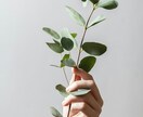 看護師に質問☘️看護のあれこれについて答えます ◆看護師に聞きたい事◆知りたい事など◆気軽に質問コーナー イメージ4