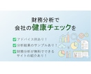 中小企業診断士が財務分析で御社の健康チェックします プロが2期分の財務諸表から、長所や危険度を分析します！ イメージ1