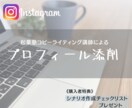 Instagramのプロフィールを添削します ブログとSNSの専門家があなたの第一印象をサポートします イメージ1
