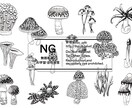 緻密なペン画イラスト描きます 植物や雑貨、民族衣装などが得意です！ イメージ6