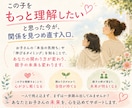 チャット相談　なぜこの子はこうなのか？を読みます 親子の悩みの背景を、算命学と心理学の視点から紐解きます イメージ10
