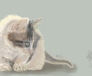 ふんわり可愛いペット似顔絵お描きします 大切な家族を“世界で1枚の宝物”に イメージ3